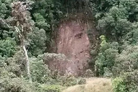 Gương mặt của Chúa Jesus xuất hiện trên sườn đồi ở Colombia?