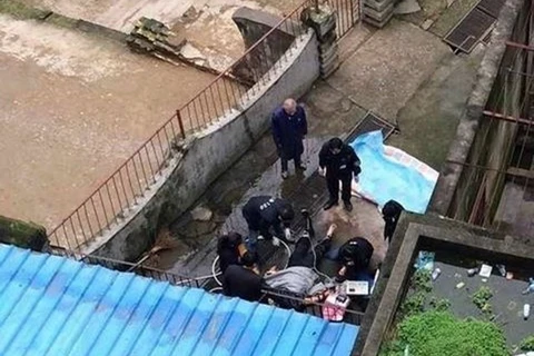 Tranh cãi sau vụ hổ vồ chết người tại vườn thú ở Trung Quốc
