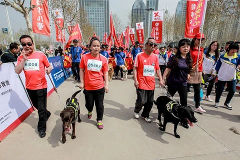 Chó dẫn đường cho người khiếm thị tham gia chạy marathon 5km