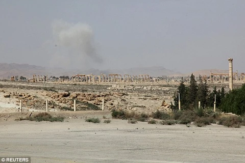 Kinh hãi thi thể bị chặt đầu nằm rải rác khắp nơi tại Palmyra 