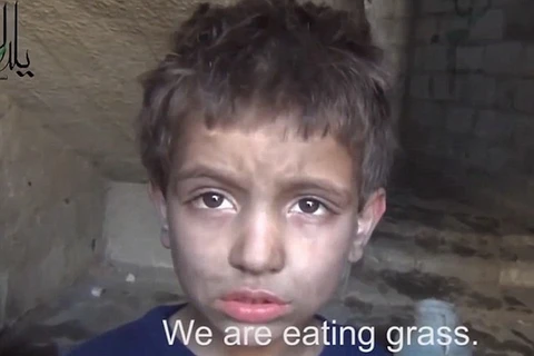 Sững sờ khi biết người dân Syria phải ăn cỏ để sống qua ngày