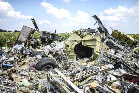 Hiện trường vụ rơi máy bay MH17. (Nguồn: businessweek)