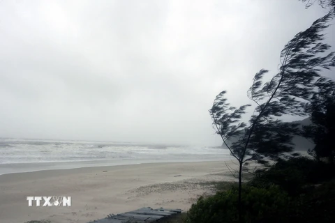 Bão số 1 gây mưa to, gió lớn trên đảo Quan Lạn. (Ảnh: Văn Đức/TTXVN)