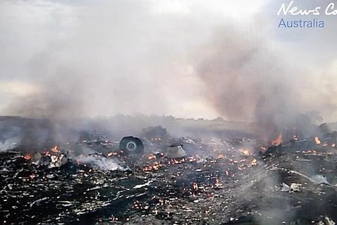 Hiện trường kinh hoàng vụ máy bay MH17 bị bắn rơi trên đất Ukraine.