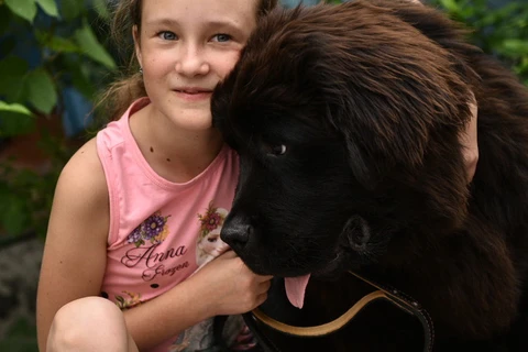 Cô bé Dasha Yaitskaya được ông Putin tặng chú chó giống Newfoundland. (Nguồn: RIA Novosti)