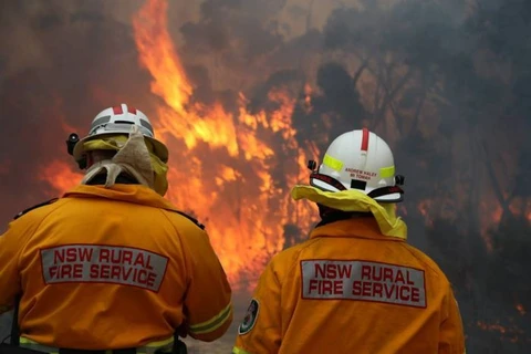 Cháy rừng ở Australia. (Nguồn: abc.net.au)