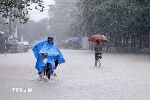 Mưa lớn gây ngập úng tại nhiều tuyến đường trong trung tâm T.P Thái Nguyên. (Ảnh: Lan Anh/TTXVN)