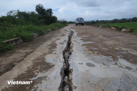 Vết nứt trên đê sông Chu dài 94m, rộng 5-15cm, sâu 25-65cm. (Ảnh: Trịnh Duy Hưng/Vietnam+)