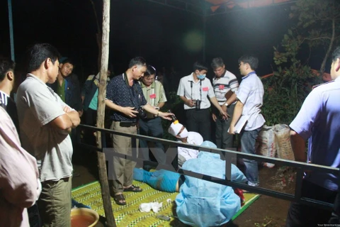 Lực lượng chức năng đang khám nghiệm hiện trường vụ thảm sát ở Gia Lai. (Ảnh: Nguyễn Hoài Nam/TTXVN)