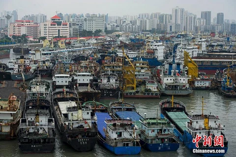 Tàu thuyền đánh cá đã trở về neo đậu. (Nguồn: chinanews.com)