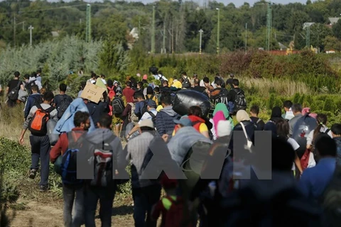 Người di cư tại khu vực biên giới Hungary-Croatia. (Nguồn: Reuters/TTXVN)