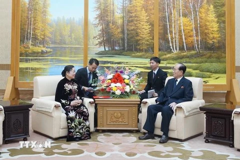 Bà Hà Thị Khiết đã hội kiến Chủ tịch Ủy ban Thường vụ Hội nghị Nhân dân tối cao Triều Tiên Kim Yong Nam. (Ảnh: TTXVN)