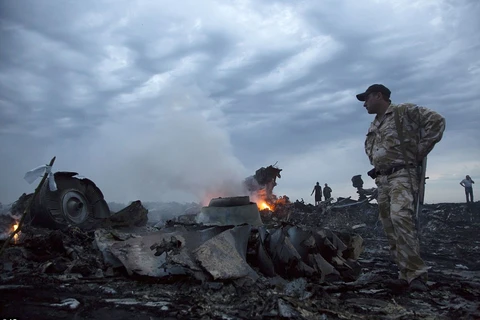 Hiện trường vụ máy bay MH17 rơi. (Nguồn: AP)