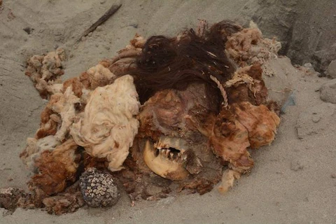 Xác ướp được phát hiện ở Peru. (Nguồn: andina.com.pe)