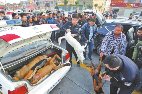 Chiếc xe đã bị những người quanh đó chặn lại vì họ ngửi thấy “mùi khác lạ” từ trong xe bốc ra. (Nguồn: CCTVNews)