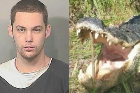 Nghi phạm Matthew Riggins bị cá sấu cắn chết. (Nguồn: ​usatoday.com)