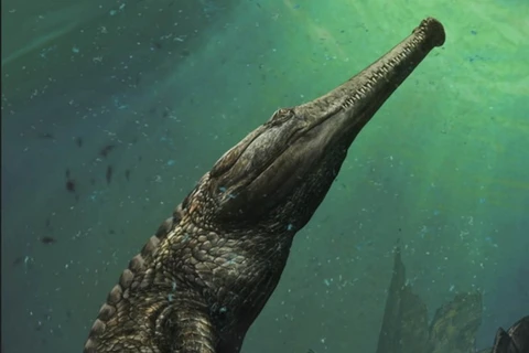 Phát hiện hóa thạch cá sấu cổ đại to bằng xe buýt ở sa mạc Sahara