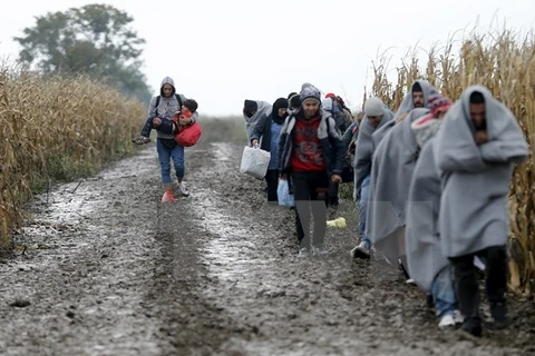 Người di cư vượt biên giới Serbia-Croatia. (Nguồn: Reuters/TTXVN)