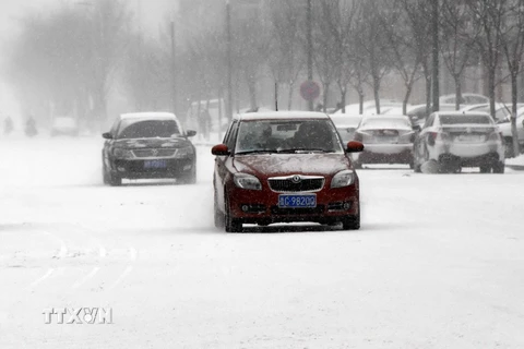 Các phương tiện di chuyển khó khăn trên đường phố bị tuyết phủ trắng xóa. (Nguồn: THX/TTXVN)