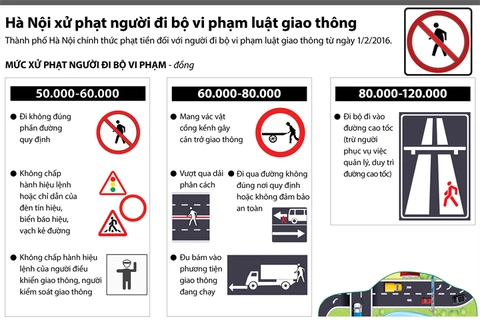 [Infographics] Hà Nội xử phạt người đi bộ vi phạm luật giao thông