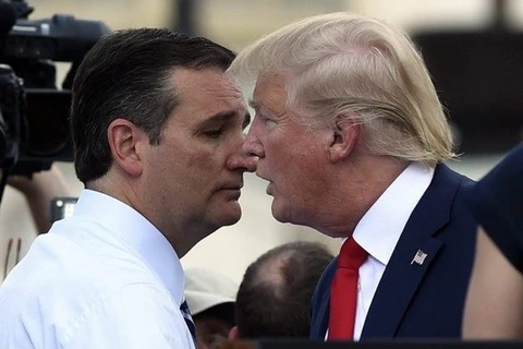 Thượng nghị sỹ Ted Cruz (trái) lần đầu tiên vượt tỷ phú Donald Trump. (Nguồn: AP)