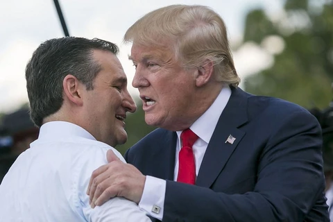 Hai ứng cử viên Donald Trump và Ted Cruz. (Nguồn: Getty Images)