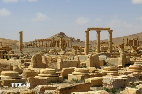 Một góc thành phố cổ Palmyra. (Nguồn: AFP/TTXVN)