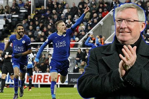Sir Alex tin Leicester City sẽ vô địch. (Nguồn: sindonews.com)