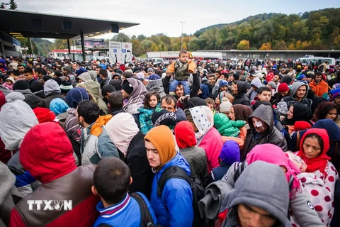 Người di cư chờ xe buýt sau khi vượt qua biên giới Áo-Slovenia. (Nguồn: AFP/TTXVN)