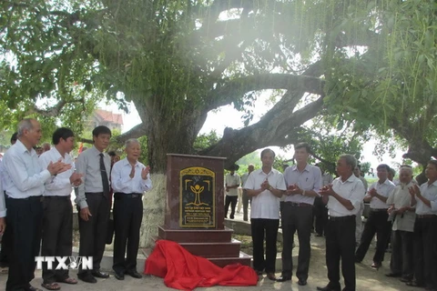 Đặt bia công nhận Cây di sản Việt Nam đối với cây lộc vừng ở xã Sơn Đông. (Ảnh: Nguyễn Thảo/TTXVN)