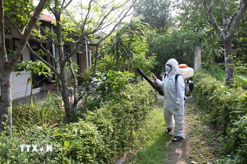 Các bộ Trung tâm Y tế dự phòng tỉnh Thừa Thiên-Huế phun thuốc diệt muỗi phòng chống dịch bệnh tại Thành phố Huế. (Ảnh: Hồ Cầu/TTXVN)