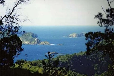 Khu vực quần đảo Kermadec. (Nguồn: britannica.com)