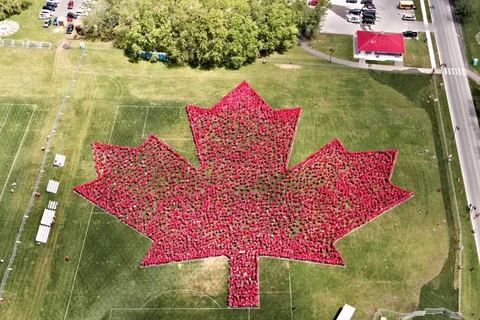 3.942 người mặc áo T-shirt đỏ đã tạo nên "bức tranh" lá phong đặc biệt lớn nhất thế giới. (Nguồn: globalnews.ca)