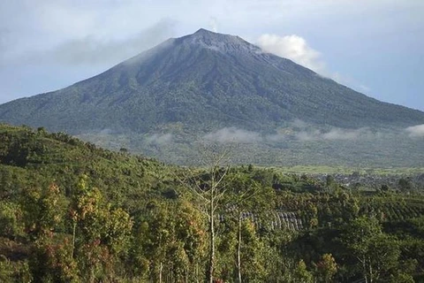 Núi lửa Kerinci trên đảo Sumatra phun trào. cnnindonesia.com)