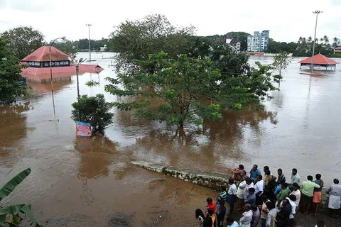 Ngập lụt ở Ấn Độ. (Nguồn: alahednews.com)