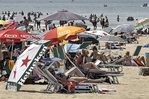 Người dân Hà Lan đổ ra biển để giảm nhiệt. (Nguồn: Daily Mail)