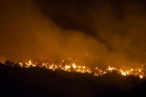 Cháy rừng ở Gran Canaria. (Nguồn: Reuters)