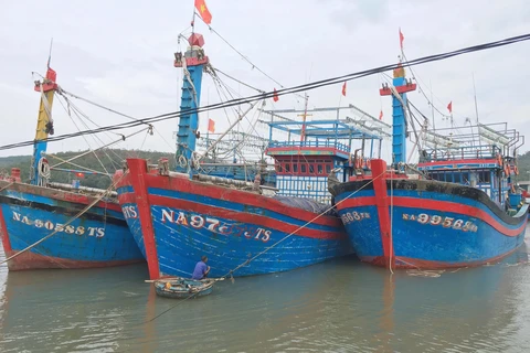 Nhiều tàu thuyền neo đậu an toàn tại cảng cá Lạch Quèn, xã Quỳnh Thuận, huyện Quỳnh Lưu. (Ảnh: Nguyễn Oanh/TTXVN)