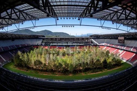 Sân vận động được biến thành rừng cây. (Nguồn: EFE)