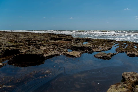 Dầu tràn trên bờ biển Pocas tại Conde, bang Bahia, Brazil, ngày 27/10/2019. (Ảnh: AFP/TTXVN)