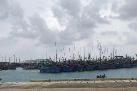 Tàu cá của ngư dân với khoảng 130 thuyền viên vào tránh trú tại âu tàu đảo Trường Sa lớn. (Ảnh: TTXVN phát)