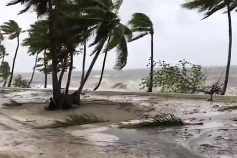 Bão nhiệt đới Sarai gây mưa to gió mạnh ở Fiji. (Nguồn: Reuters)