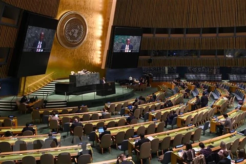 Một phiên họp của Đại hội đồng Liên hợp quốc ở New York, Mỹ. (Nguồn: AFP/TTXVN)