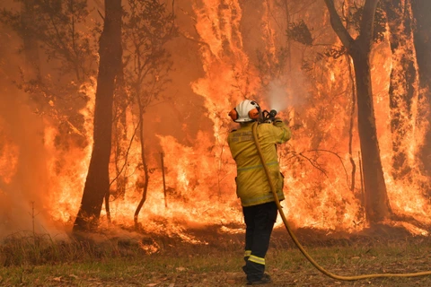Lực lượng cứu hỏa nỗ lực dập lửa cháy rừng tại Central Coast. (Ảnh: AFP/TTXVN)