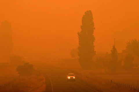 Khói mù từ các đám cháy rừng tiếp tục bao phủ toàn bộ các thành phố lớn của Australia. (Nguồn: Getty Images)