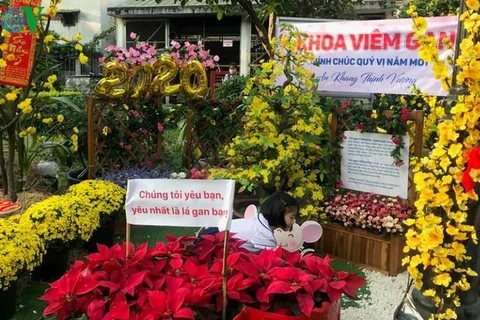 [Video] Đặc sắc đường hoa Tết đặc biệt trong Bệnh viện Chợ Rẫy