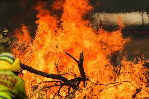 Hiện trường vụ cháy rừng tại Taree, New South Wales, Australia. Ảnh: THX/TTXVN)