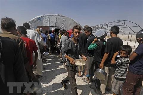Người tị nạn Syria xếp hàng nhận thức ăn cứu trợ tại một trại tạm ở Ras al-Ain, giáp giới với Thổ Nhĩ Kỳ. (Nguồn: AFP/TTXVN)