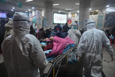 Ngày chết chóc nhất tại Vũ Hán, số ca tử vong vì virus corona lên 212