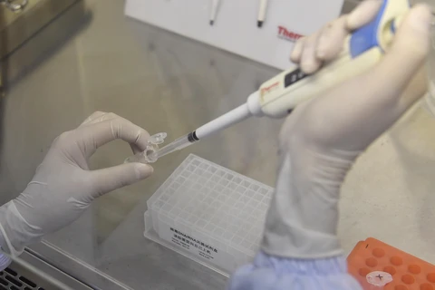 Nhân viên y tế kiểm tra chất lượng của bộ thử axit nucleic tại công ty công nghệ sinh học ở Thành Đô, tỉnh Tứ Xuyên, Trung Quốc. (Ảnh: THX/TTXVN)